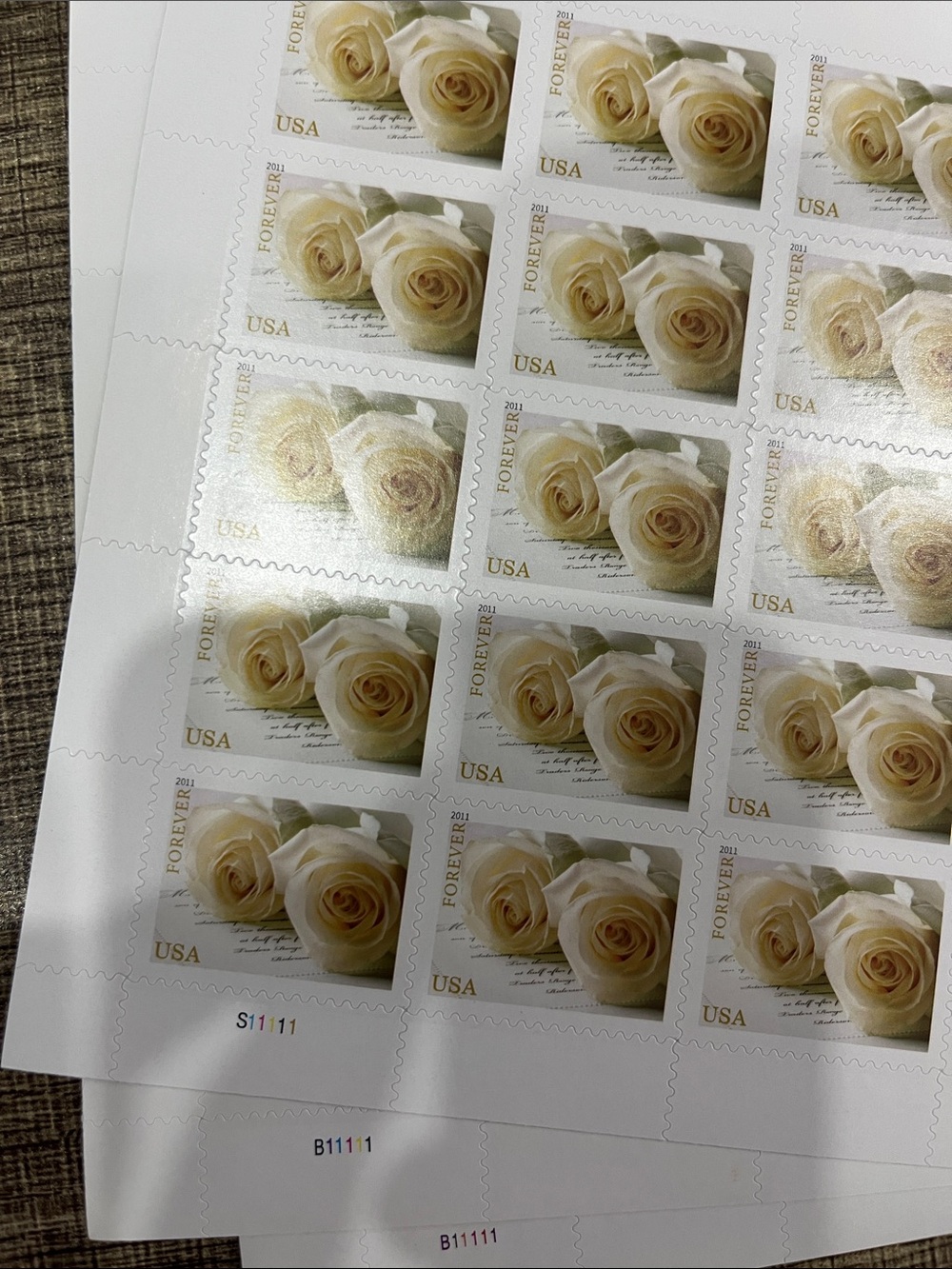 Forever 21 Cream and White Rose Stamp Sheet 200